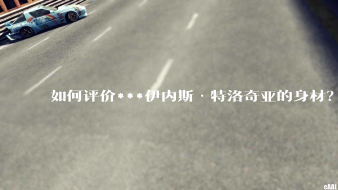 如何评价***伊内斯·特洛奇亚的身材？