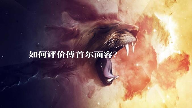 如何评价傅首尔面容？