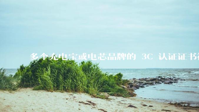 多个充电宝或电芯品牌的 3C 认证证书被暂停，涉及罗马仕、安克、绿联、倍思、安普瑞斯等，发生了什么？