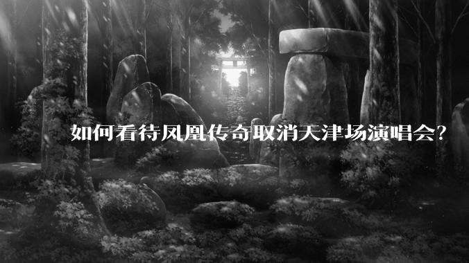 如何看待凤凰传奇取消天津场演唱会？