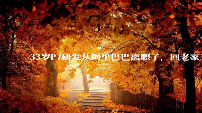 33岁P7研发从阿里巴巴离职了，回老家当个老师怎么样？