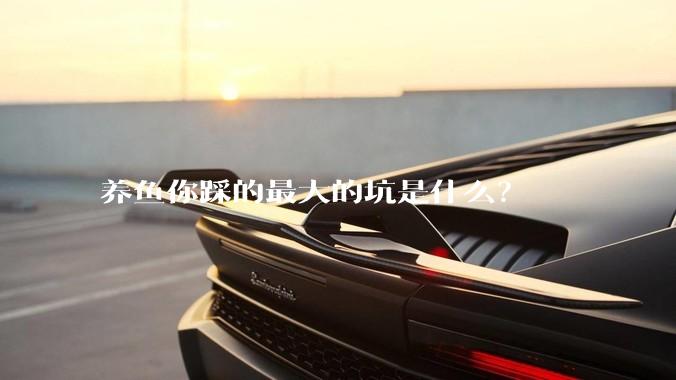 养鱼你踩的最大的坑是什么？