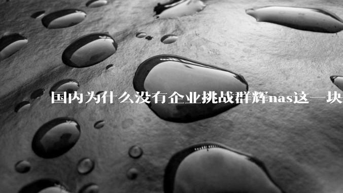 国内为什么没有企业挑战群辉nas这一块市场？