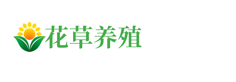 广东省江门市江海区震源仪促厨房设施有限责任公司,遂宁广东省江门市江海区震源仪促厨房设施有限责任公司